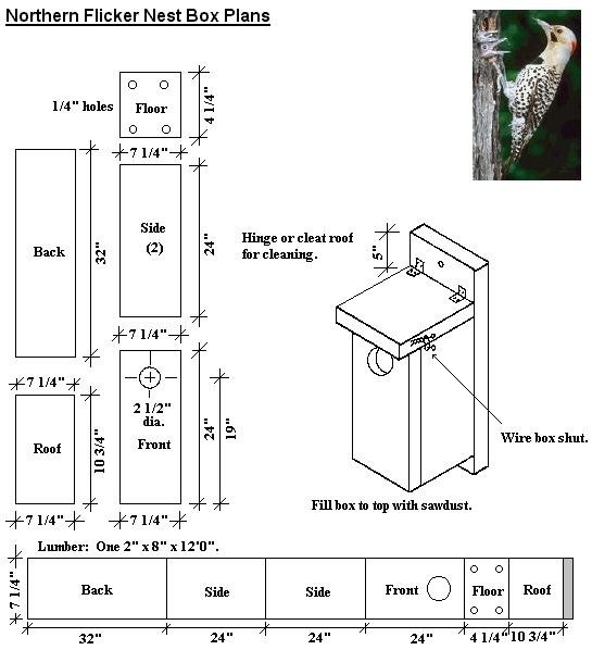 Bird house plans Bird house plans